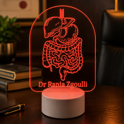 Lampe Personnalisée – Système Digestif