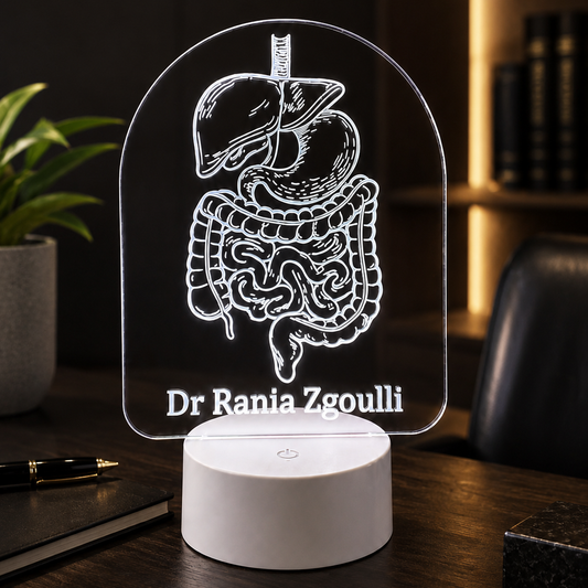 Lampe Personnalisée – Système Digestif